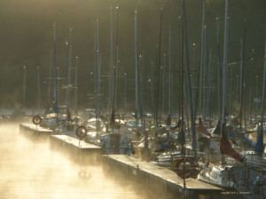 Steg im Nebel bei Sonnenlicht / copyright © R. v. Schönfels